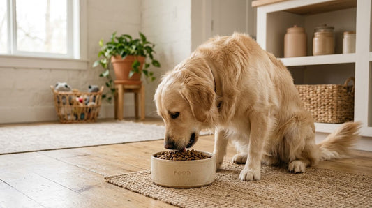 Best Dog Food in Saudi Arabia: Top Premium Choices for Your Dog