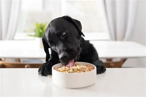 Dog food in Ksa