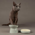 Load image into Gallery viewer, Classic Cat & Small Pet Saucer
