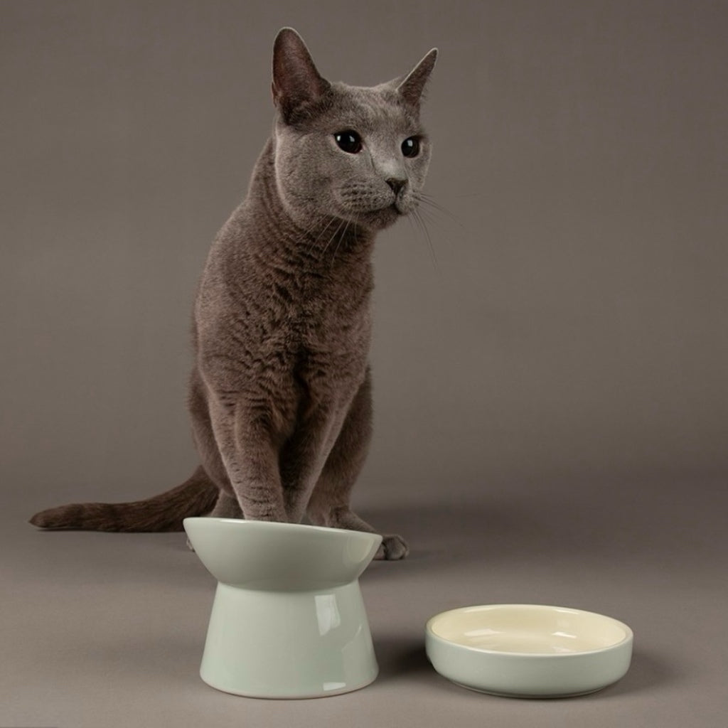 Classic Cat & Small Pet Saucer