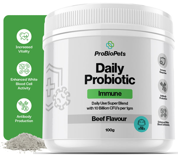 Immune Probiotic For Pets