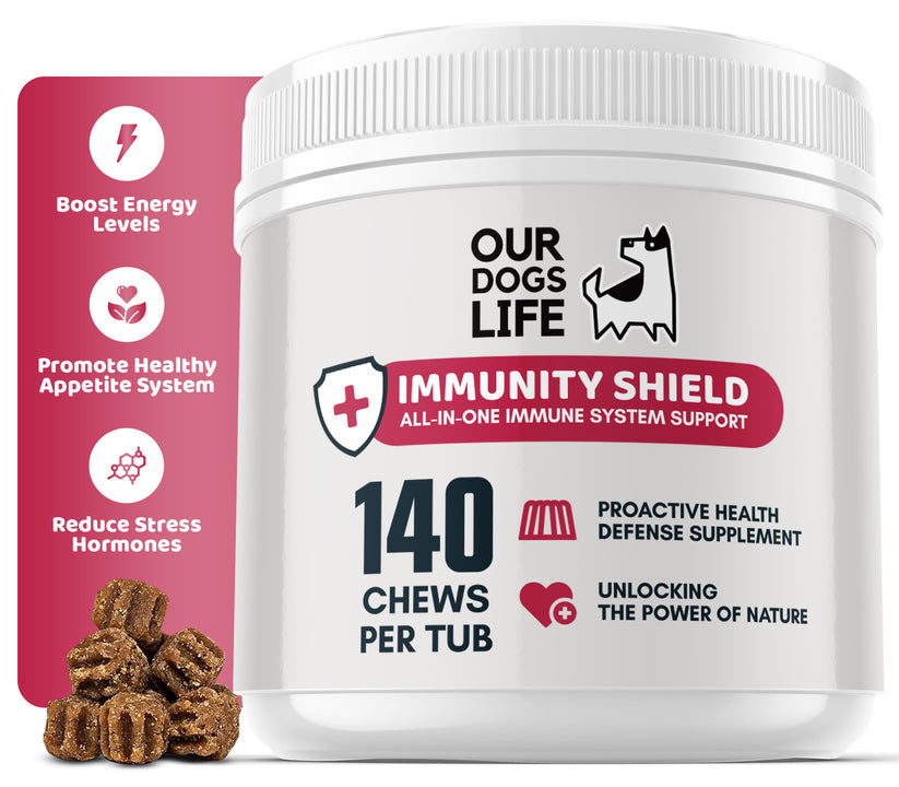 Our Dogs Life Immunity Shield Chews for your Dog