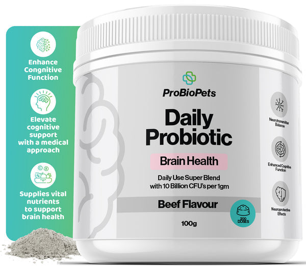 Brain Health Probiotic