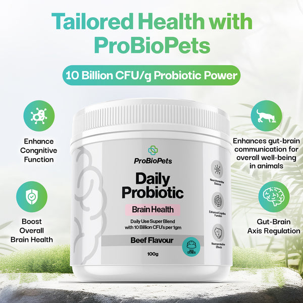 Brain Health Probiotic