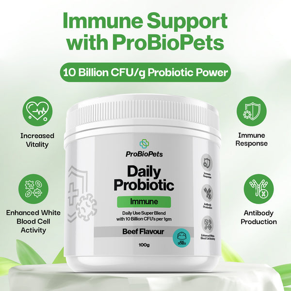 Immune Probiotic For Pets