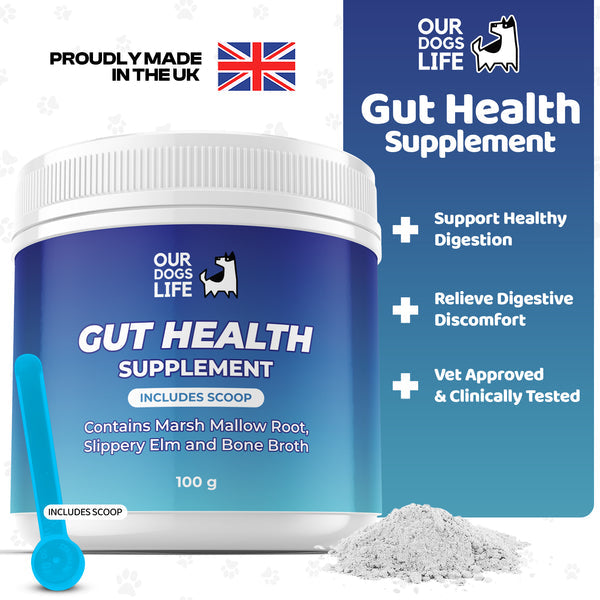 Gut Health Powder Supplement for Dogs