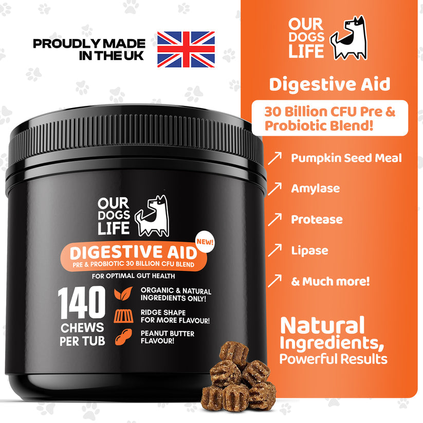 Our Dogs Life Digestive Supplements for Dogs