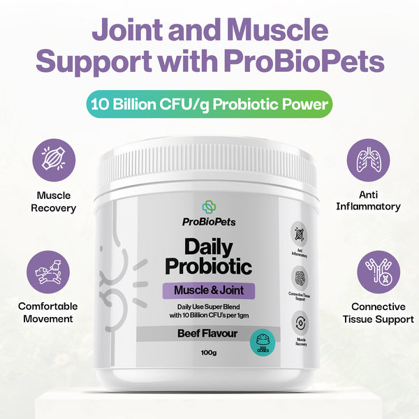 Muscle & Joint Probiotic