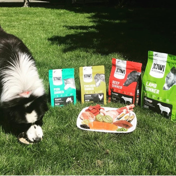 Grass Fed Lamb Dinner Raw Freeze Dried Dog Food