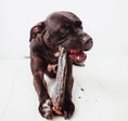Load image into Gallery viewer, Full Venison Shank Bone Oral Chews for Dogs
