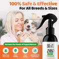 تحميل الصورة في عارض المعرض, Our Dogs Life Flea & Tick Spray for Dogs
