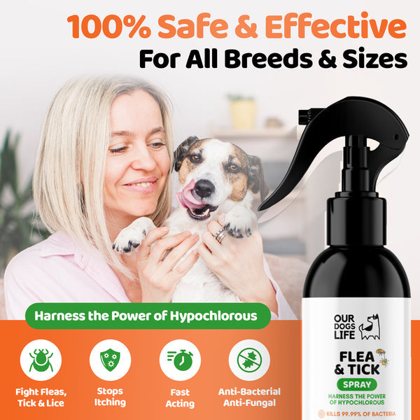 Our Dogs Life Flea & Tick Spray for Dogs