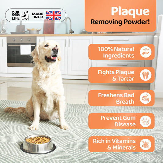 Plaque Remover for Dogs