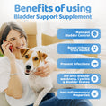 Load image into Gallery viewer, Bladder Support Supplements for Dogs
