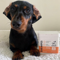 تحميل الصورة في عارض المعرض, Our Dogs Life Dog Ear Wipes
