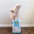 Load image into Gallery viewer, Precious Cat Respiratory Relief Unscented Clumping Clay Litter
