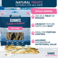 Load image into Gallery viewer, Whole Herring Natural Cat Treats
