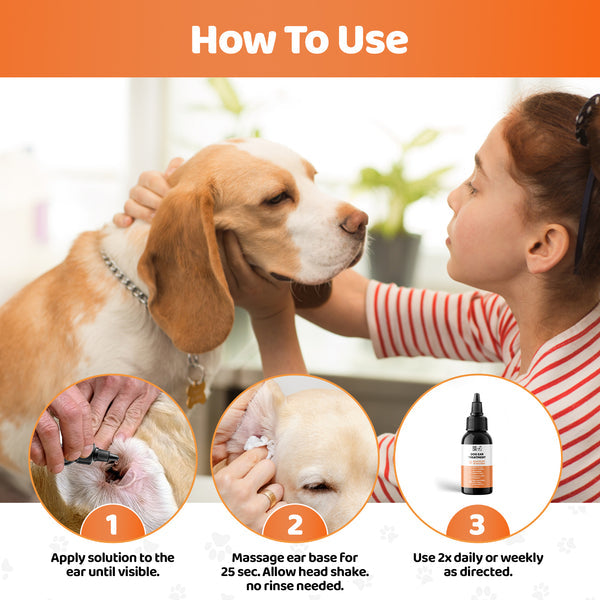 Ear Infection Treatment Drops For Dogs