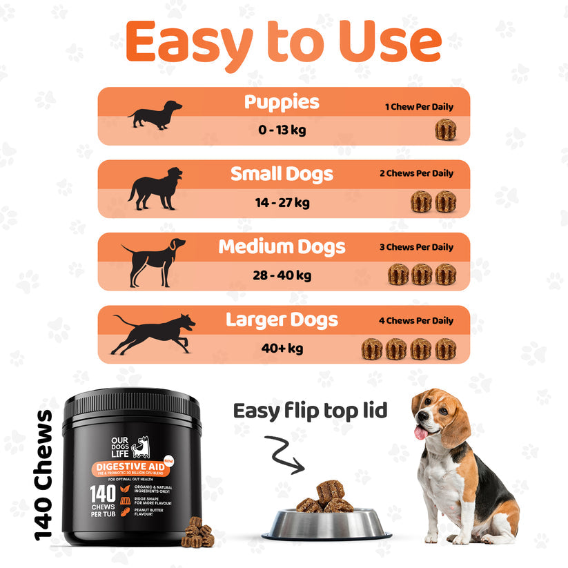 Digestive Supplements for Dogs