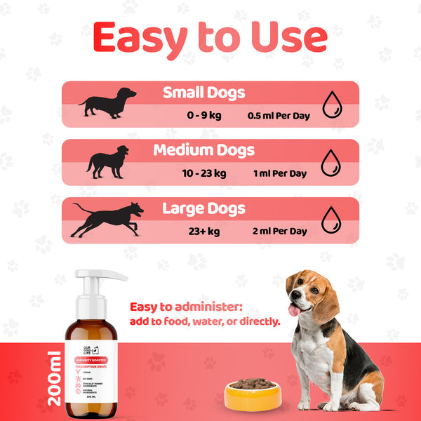 Liquid Multivitamin for Dogs