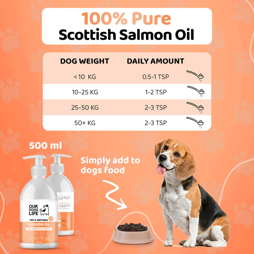 Salmon Oil For Dogs