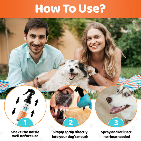 Dental Spray For Dogs