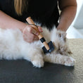 تحميل الصورة في عارض المعرض, Cats Arthur Wood Slicker Brush for Cats
