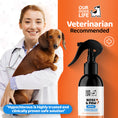 Load image into Gallery viewer, Paw & Nose Cleaner Spray For Dogs
