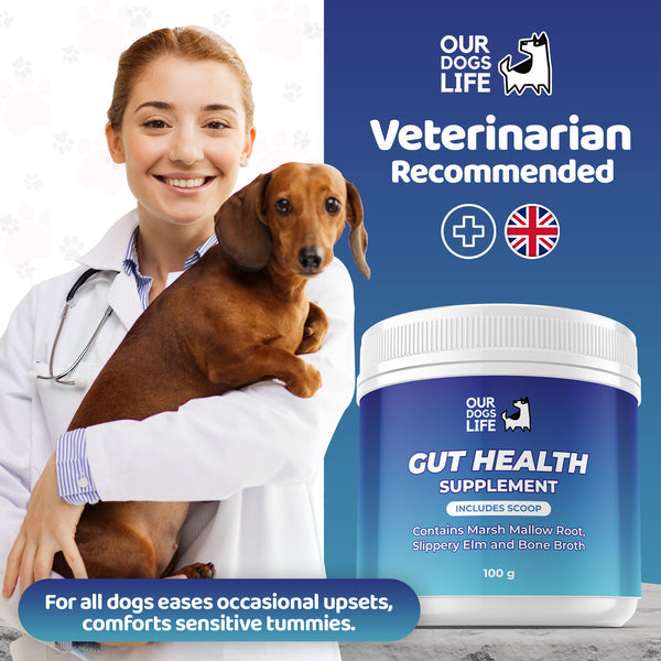 Gut Health Powder Supplement for Dogs