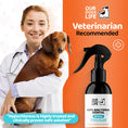 Load image into Gallery viewer, Our Dogs Life Dental Spray For Dogs
