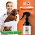 Load image into Gallery viewer, Flea & Tick Spray for Dogs
