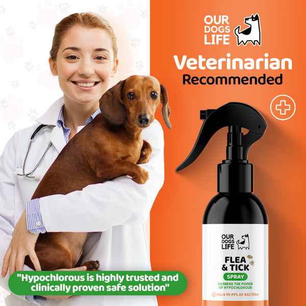 Flea & Tick Spray for Dogs