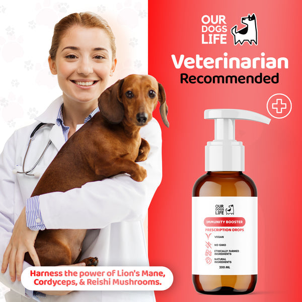 Liquid Multivitamin for Dogs