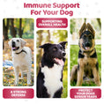 تحميل الصورة في عارض المعرض, Our Dogs Life Immunity Shield Chews for your Dog
