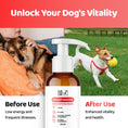 Load image into Gallery viewer, Liquid Multivitamin for Dogs
