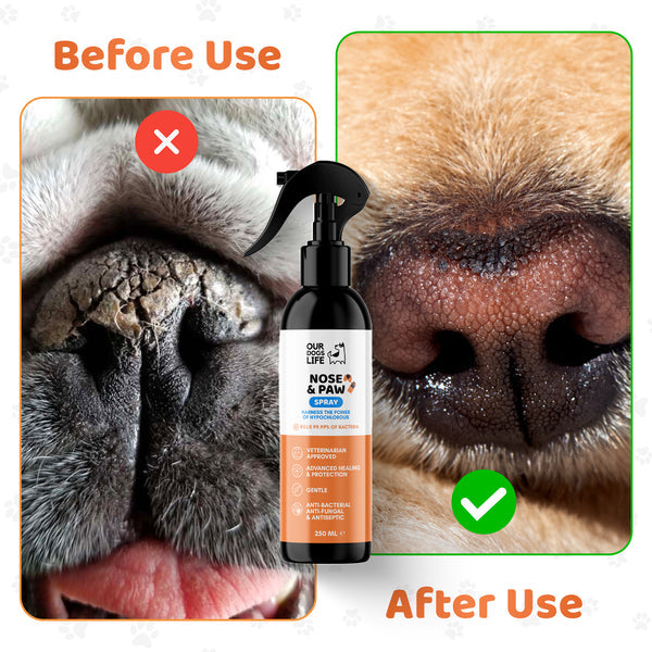 Our Dogs Life Paw & Nose Cleaner Spray For Dogs