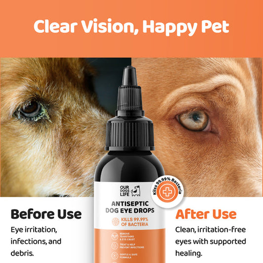 Our Dogs Life Eye Drops For Dogs