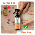 Load image into Gallery viewer, Our Dogs Life Flea & Tick Spray for Dogs
