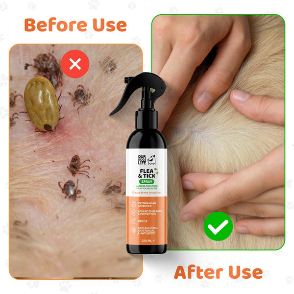 Our Dogs Life Flea & Tick Spray for Dogs