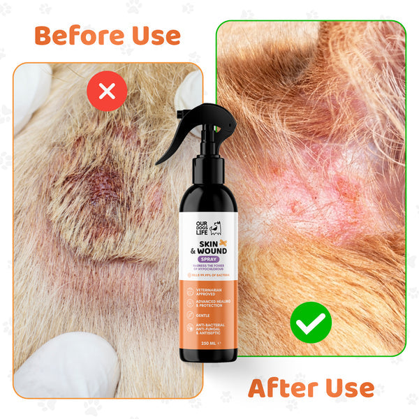 Our Dogs LIfe Skin & Wound Antiseptic Spray