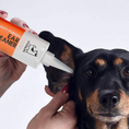 تحميل الصورة في عارض المعرض, Our Dogs Life Dog Ear Cleaning Solution
