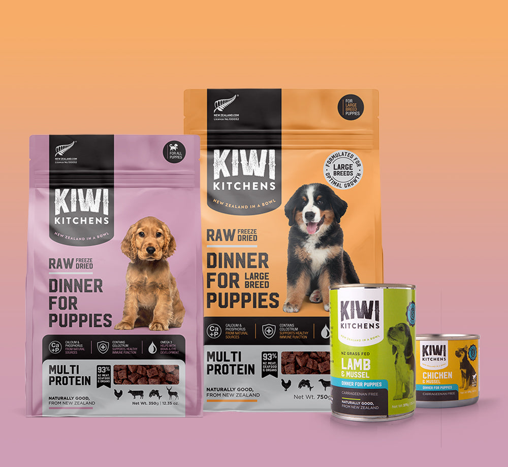 Multi Protein Dinner for Puppies Raw Freeze Dried Dog Food