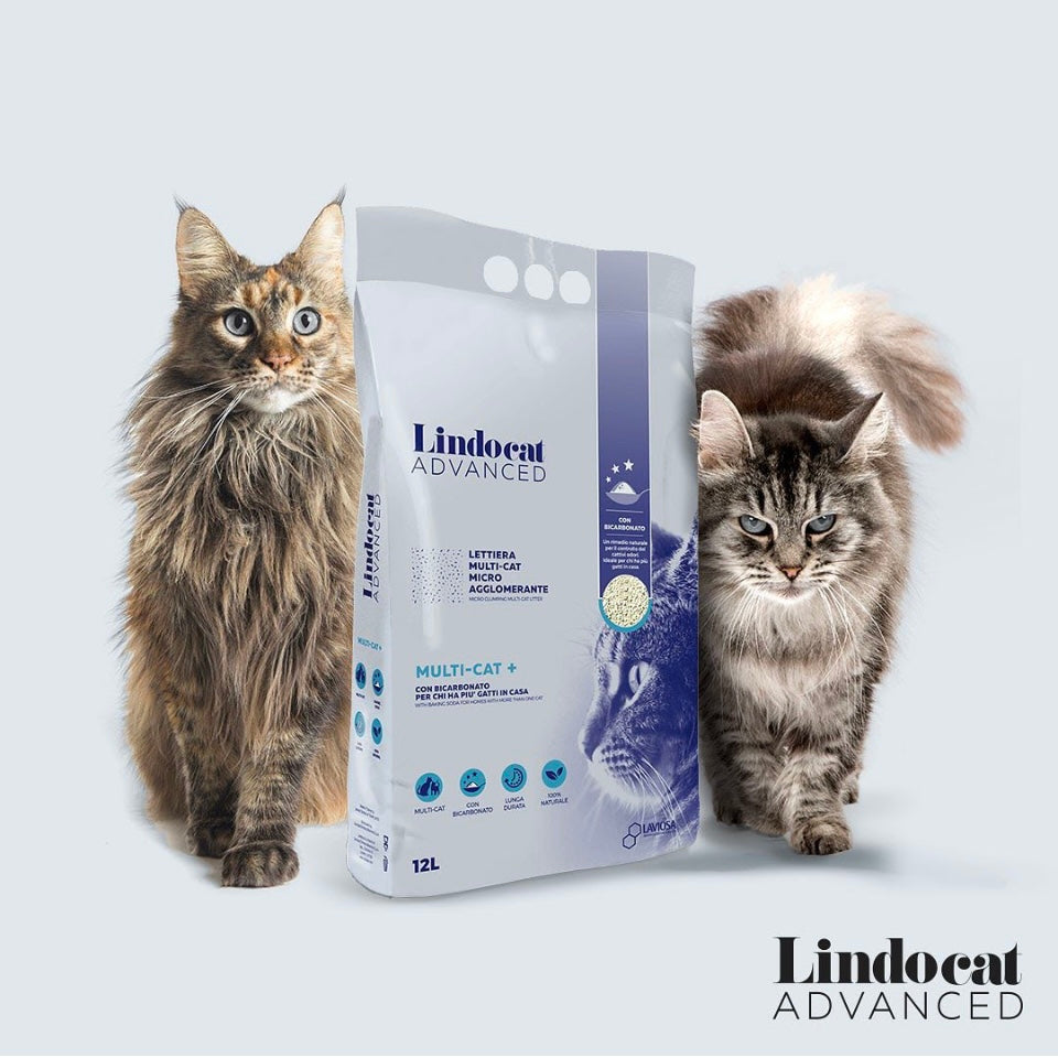 Lindo Cat Advanced MultiCat