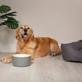 Load image into Gallery viewer, Classic Water Dog Bowl
