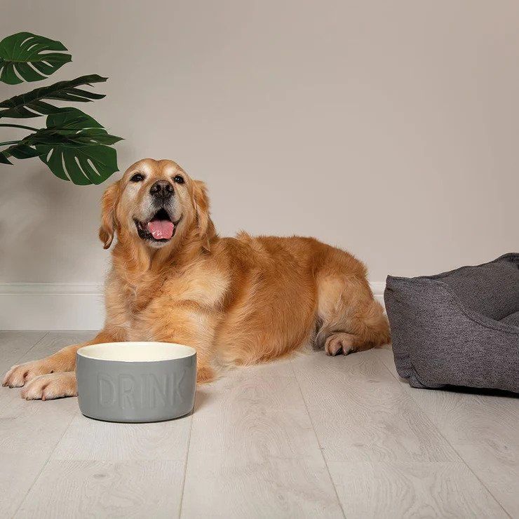 Classic Water Dog Bowl