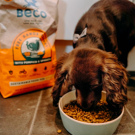 Bamboo Pet Bowl