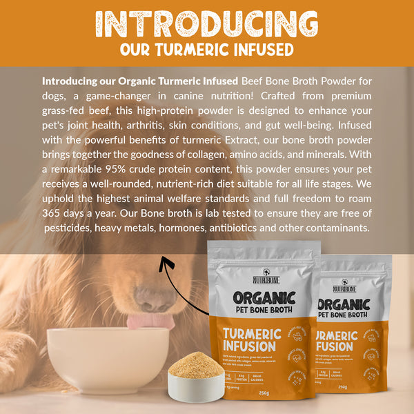 ORGANIC PET BONE BROTH - TURMERIC INFUSION