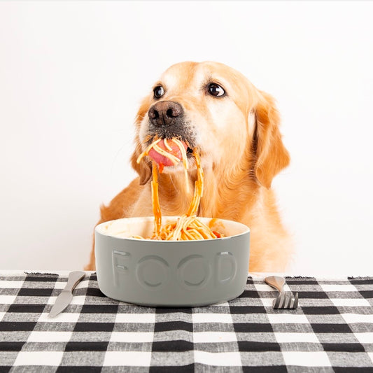 Classic Food Dog Bowl