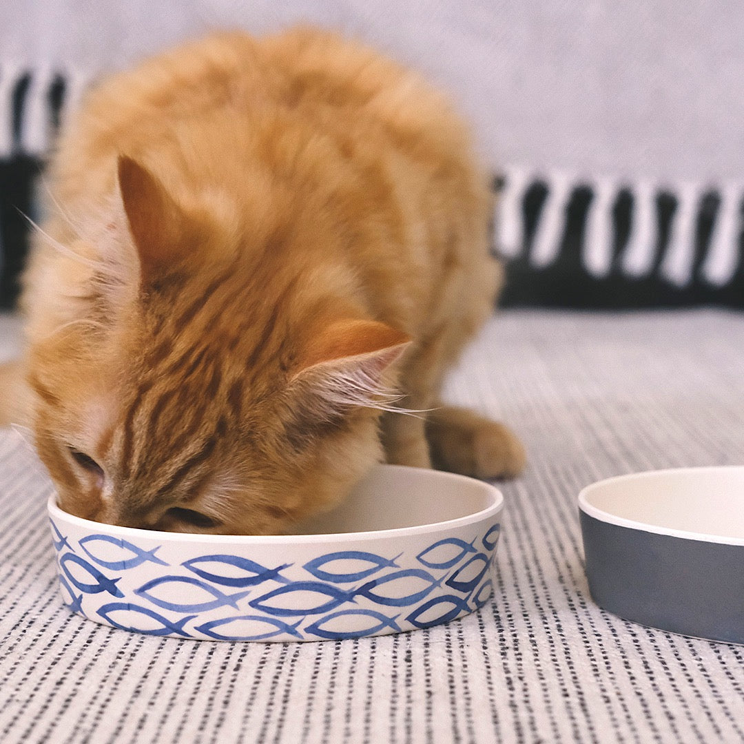 Classic Bamboo Gone Fishing Cat Bowl