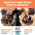 تحميل الصورة في عارض المعرض, Our Dogs Life Dental Spray For Dogs
